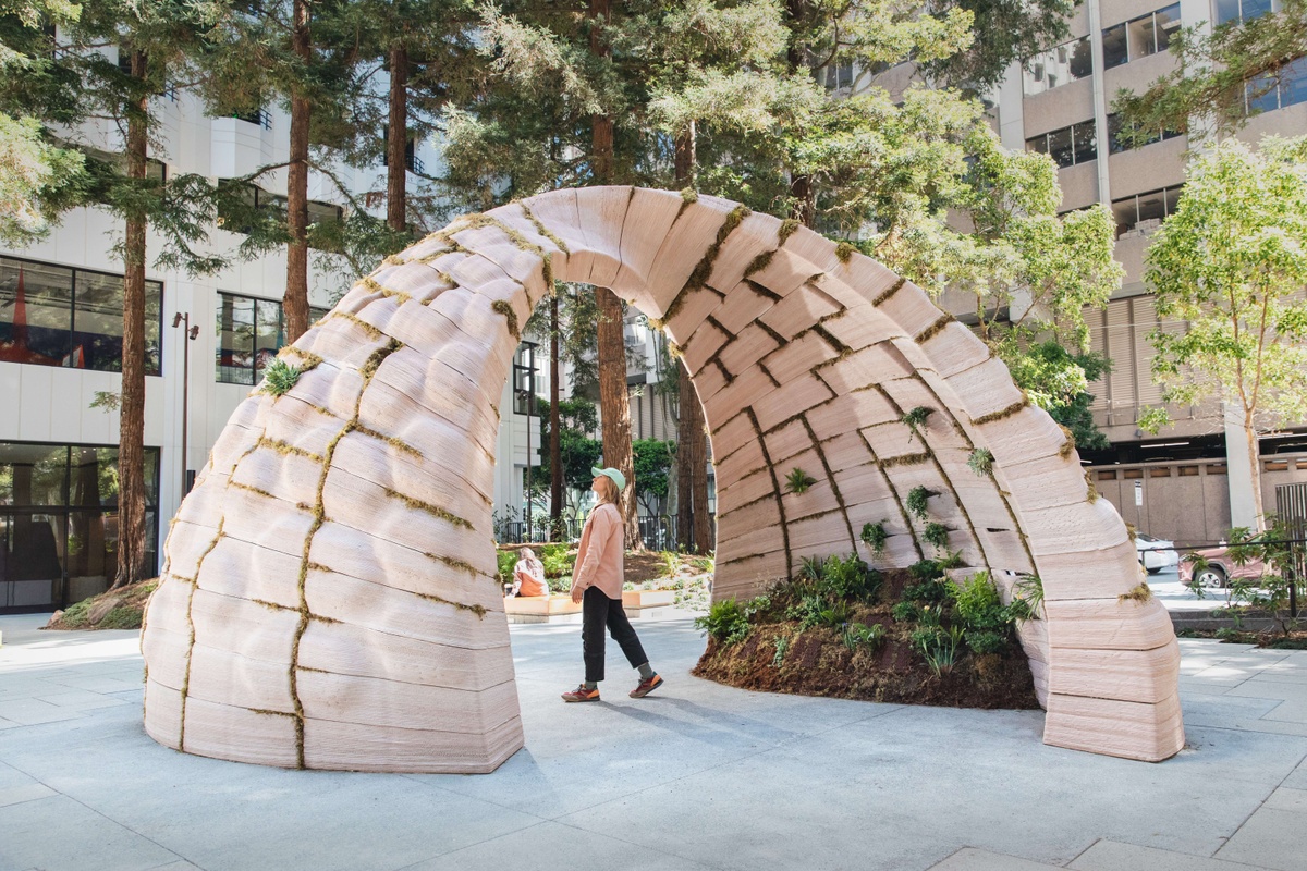Groups of people looking at Lily Kwong: EARTHSEED DOME in Transamerica Redwood Park